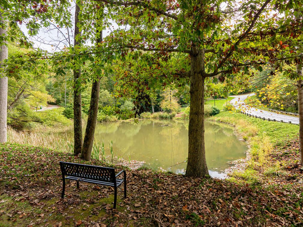 poplar-ridge-community-october-2021-7