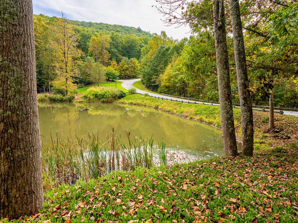 poplar-ridge-community-october-2021-4