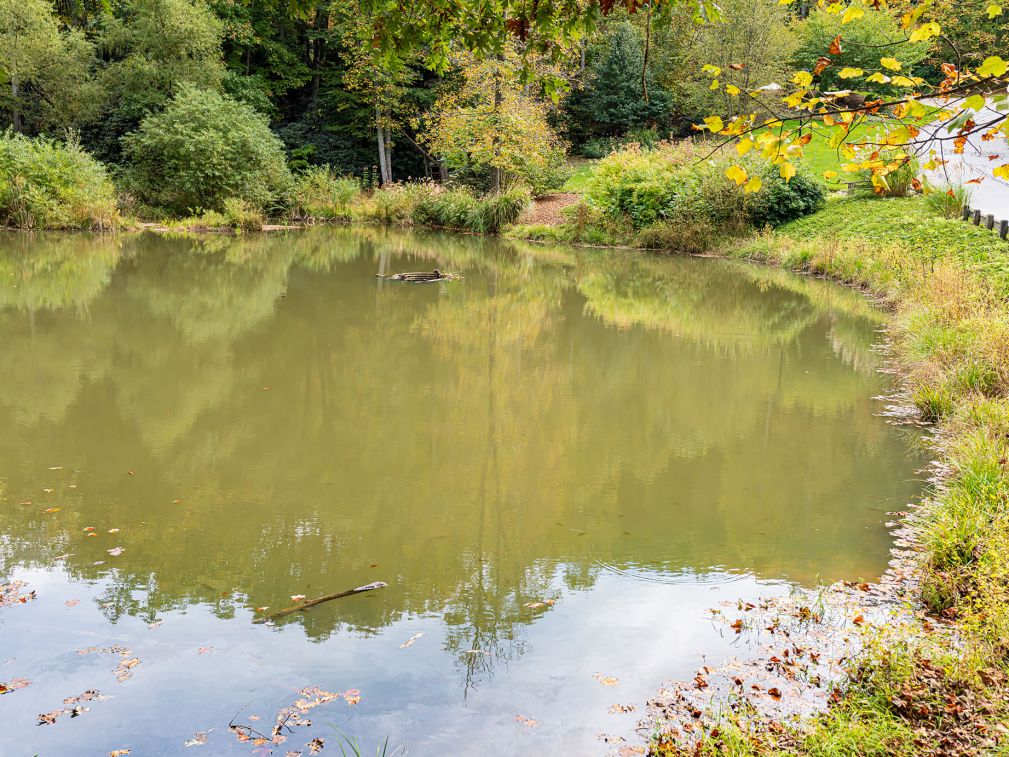 poplar-ridge-community-october-2021-15