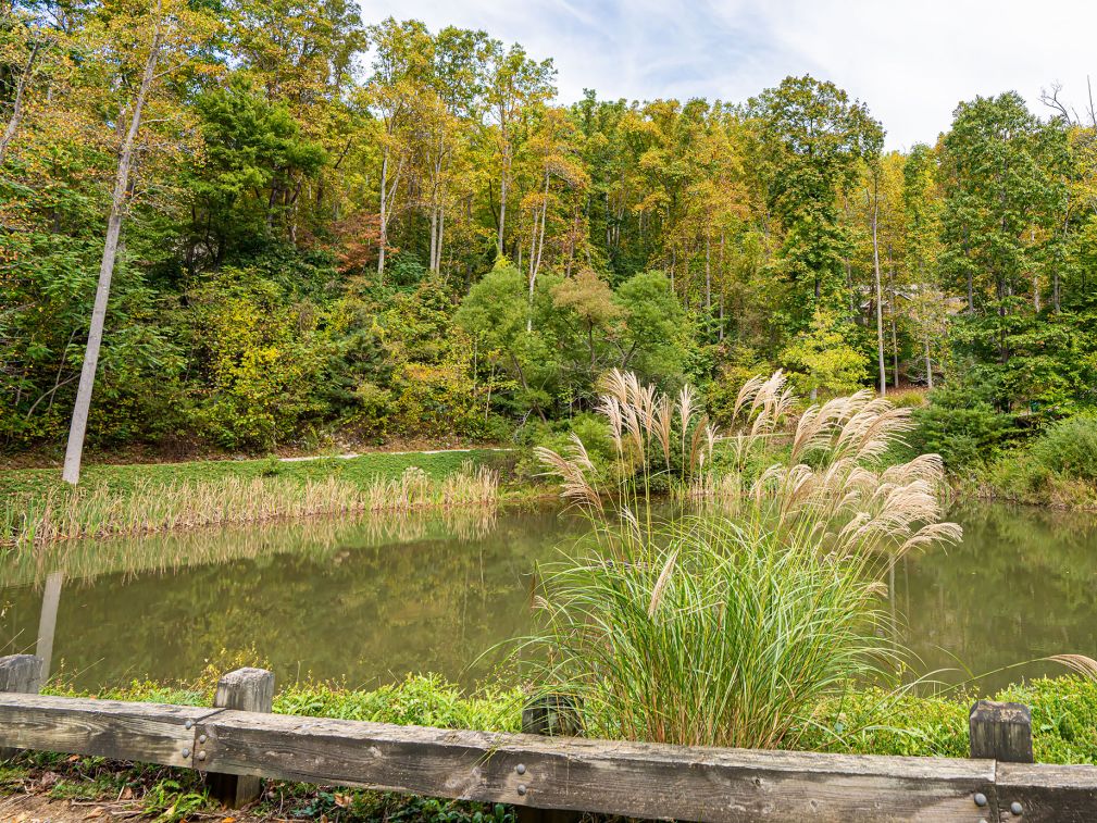 poplar-ridge-community-october-2021-3