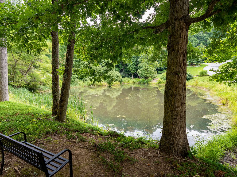 poplar-ridge-community-photo-2